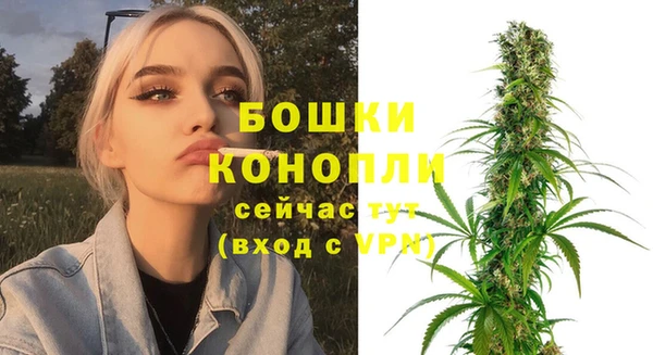 метадон Белокуриха