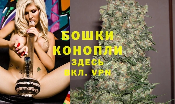 метадон Белокуриха